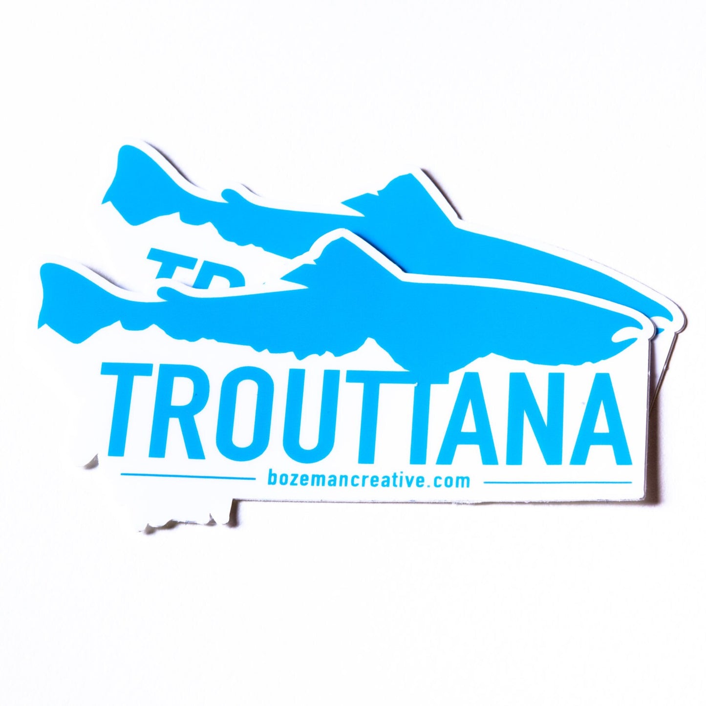 Trouttanna - Montana Trout Fishing Sticker