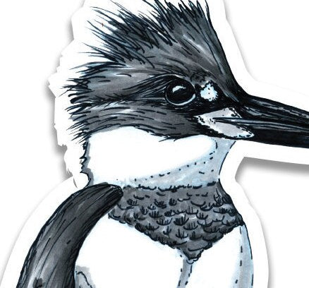 Kingfisher Sketch Sticker
