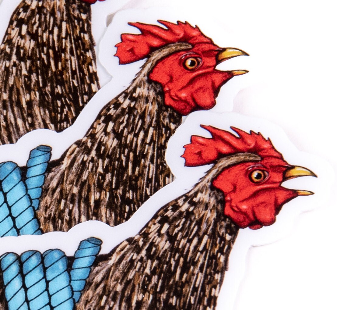 Tied Rooster Hackle Sticker - Fly Tying Sticker