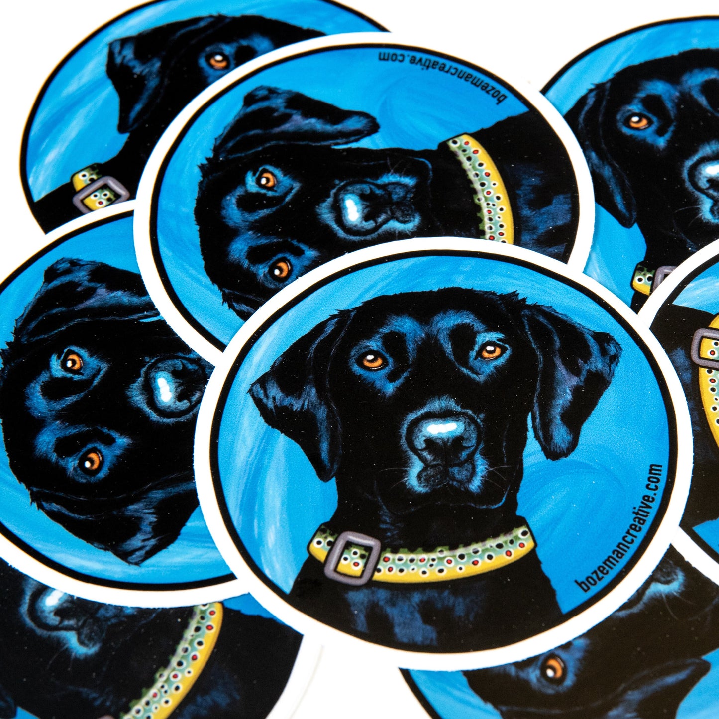 Black Lab - Brown Trout Collar-  Fly Fishing Sticker