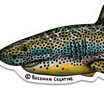 SHART - Brown Trout Shark - Fly Fishing Sticker
