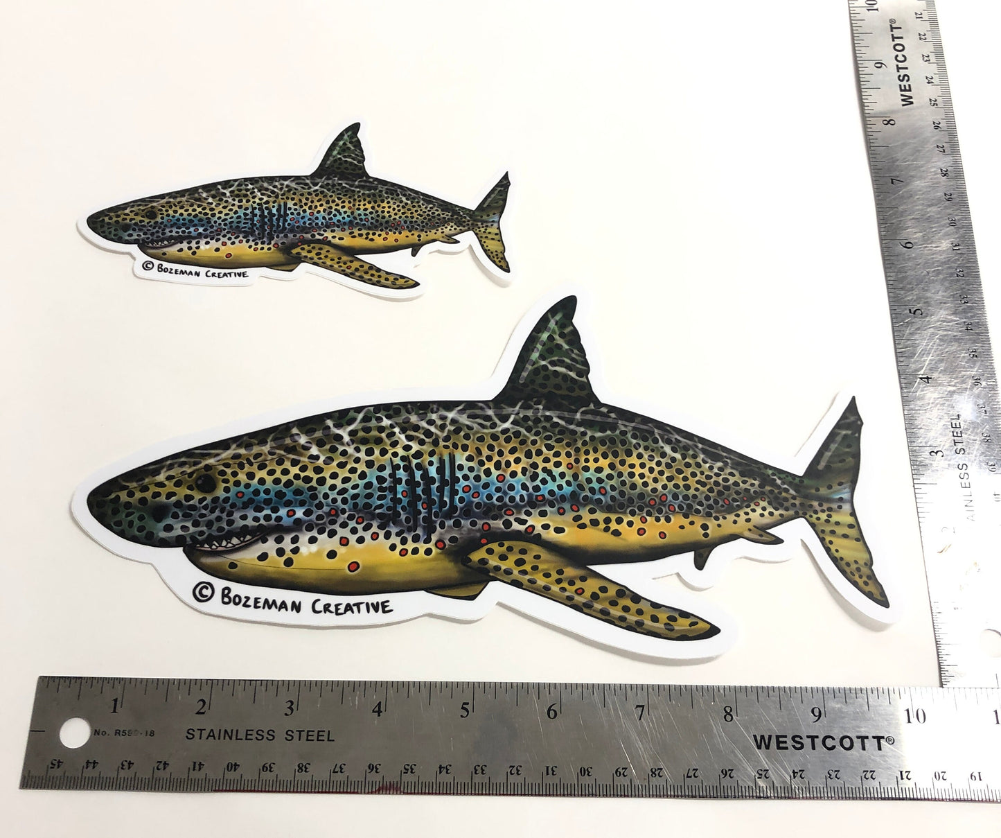 SHART - Brown Trout Shark - Fly Fishing Sticker